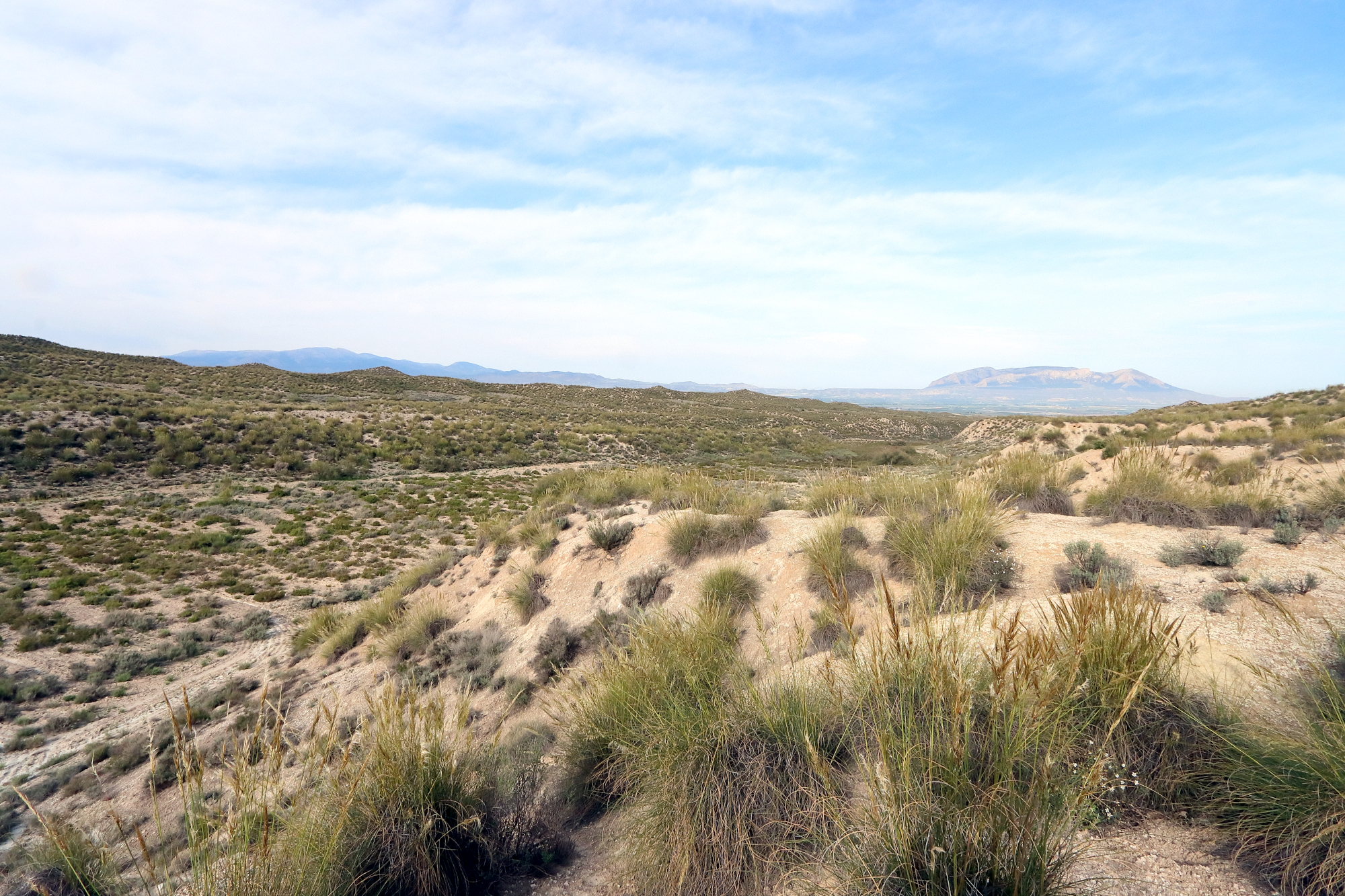 Gypse Gypse Cordillères Bétiques Bassin de Guadix–Baza Baza Hoya de Baza